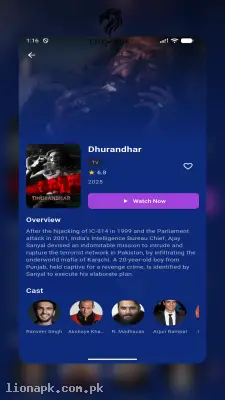 Bollyflix screenshot