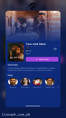 Bollyflix screenshot