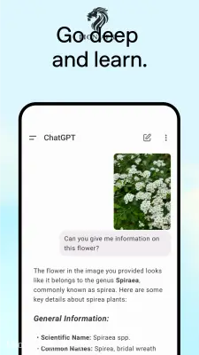 ChatGPT screenshot