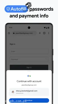 Google Chrome screenshot