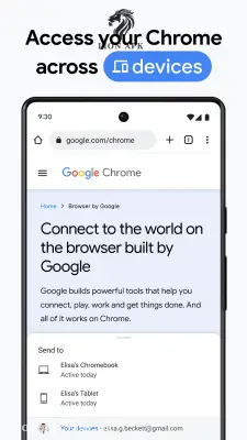 Google Chrome screenshot
