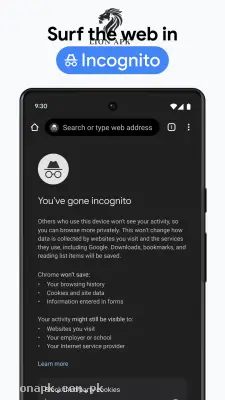 Google Chrome screenshot