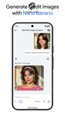 Google Gemini screenshot