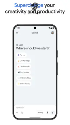 Google Gemini screenshot
