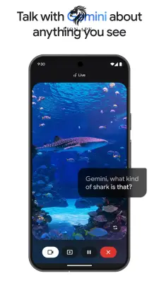 Google Gemini screenshot