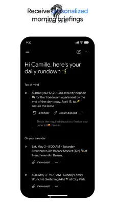 Google Gemini screenshot