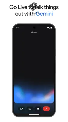 Google Gemini screenshot