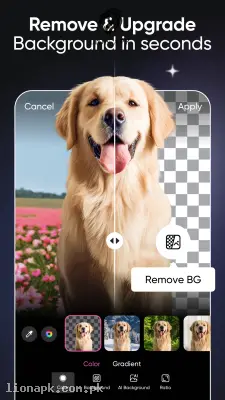 Picsart AI Photo Editor, Video screenshot