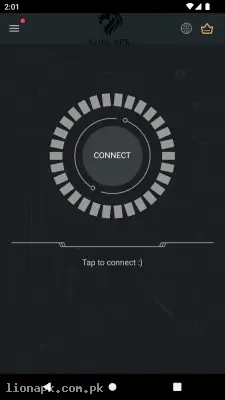 Secure VPN screenshot