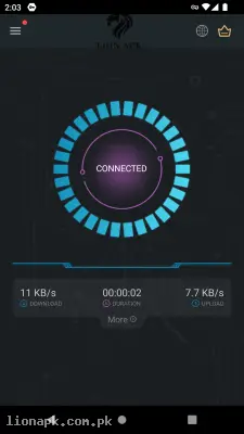 Secure VPN screenshot