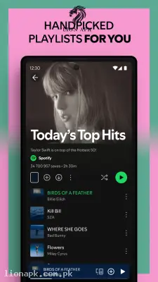 Spotify screenshot