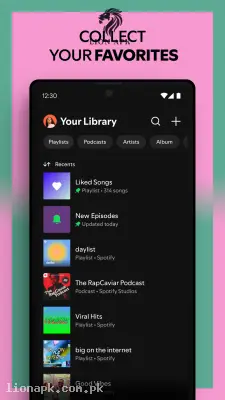 Spotify screenshot