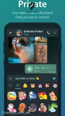 Telegram screenshot