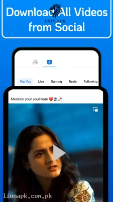Facebook Video downloader screenshot