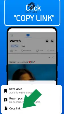 Facebook Video downloader screenshot