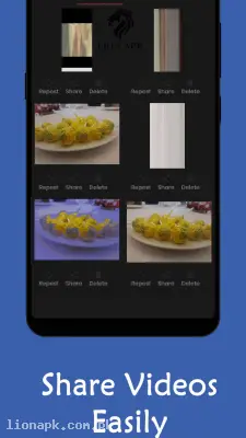Facebook Video downloader screenshot