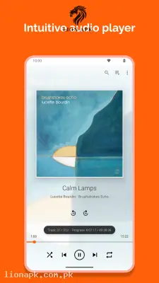 VLC screenshot