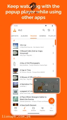 VLC screenshot