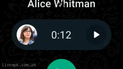 WhatsApp Plus screenshot