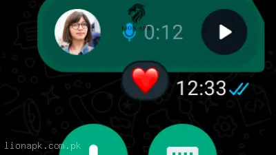 WhatsApp Plus screenshot