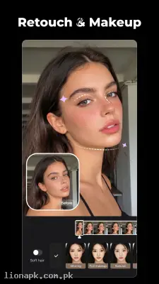 Wink screenshot